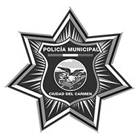 Dirección de Seguridad Pública, Vialidad y Tránsito